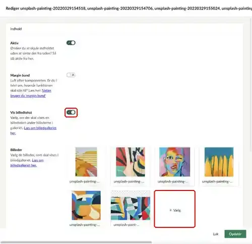 Billedgalleriets felter Aktiv, Margin bund, Vis billedtekst og Billeder