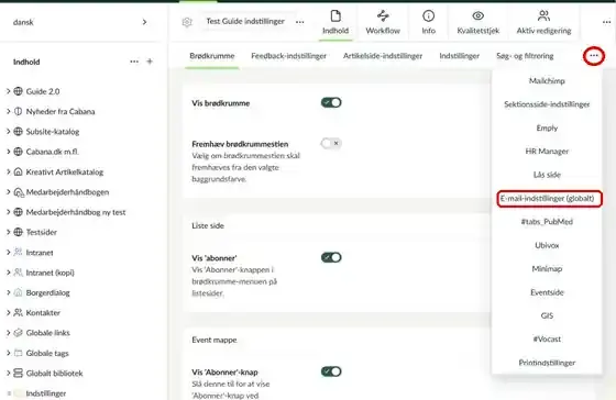 Menuen med flere faner i indstillingsfilen med E-mail-indstillinger (globalt) markeret