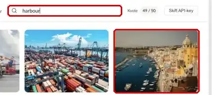 Søgefeltet på fanen Unsplash og søgeresultaterne