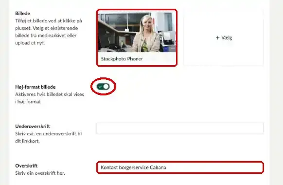 Felterne Billede, Høj-format billede og Overskrift markeret