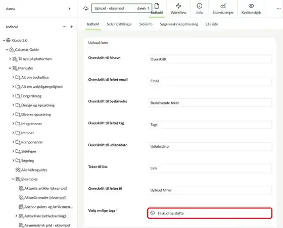 Fanen Indhold på uploadsiden med felterne til overskrifter og Vælg mulige tags