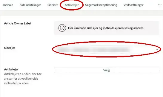 Fanen Artikelejer med feltet Sideejer markeret
