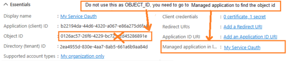 Appens oversigt, hvor Object ID er streget over, og linket Managed application in local directory er markeret