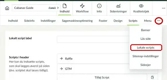 Menuen med flere faner med Lokale scripts markeret