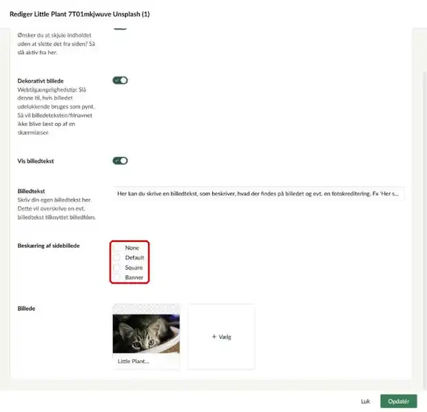 Feltet Beskæring af sidebillede med valgmulighederne None, Default, Square og Banner