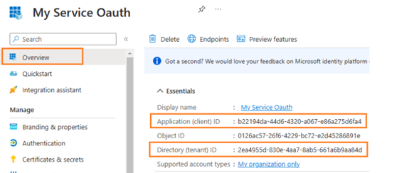 Appens oversigt, hvor Application (client) ID og Directory (tenant) ID er markeret